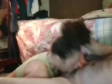 实时摄像头 bigcatrogers