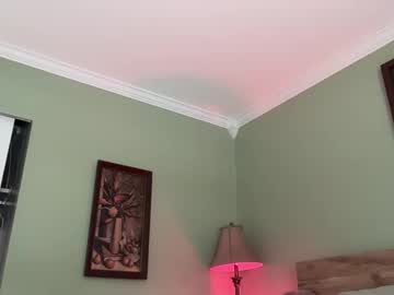 Live cam for pusselaine