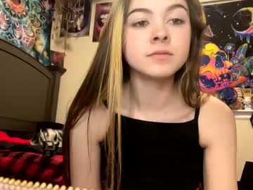 ライブカメラ karlydu