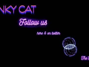 Live cam for kinky_cat_