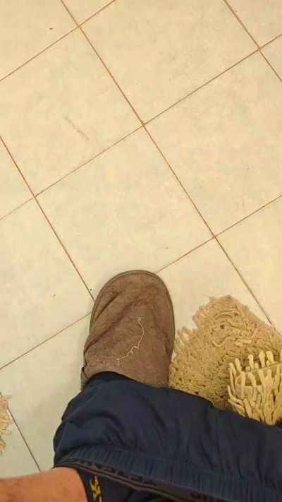 Thumbnail of Alessio2493 - CAM4 live cam