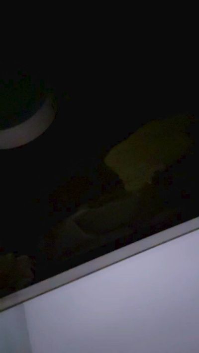 CAM4 female cam Moon6744