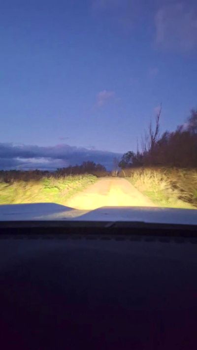Thumbnail of Gerontofilia - CAM4 live cam
