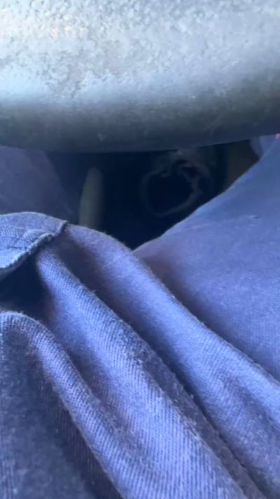 Thumbnail of Alexantonio69 - CAM4 live cam