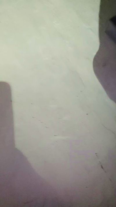 CAM4 female cam Chiqui320