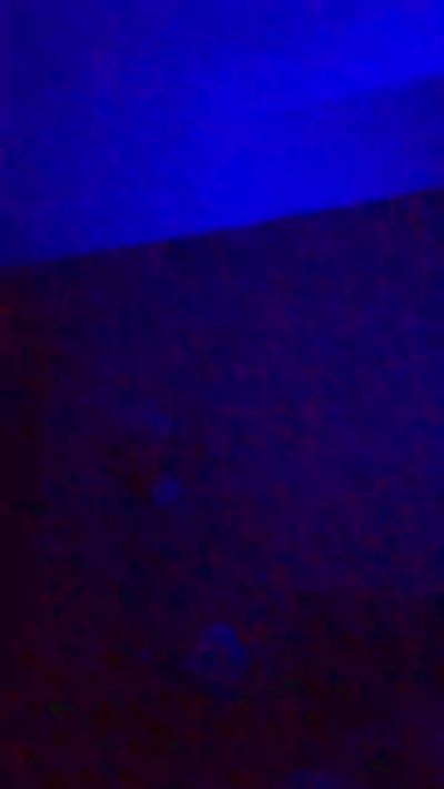 CAM4 male cam DanieloXXcm