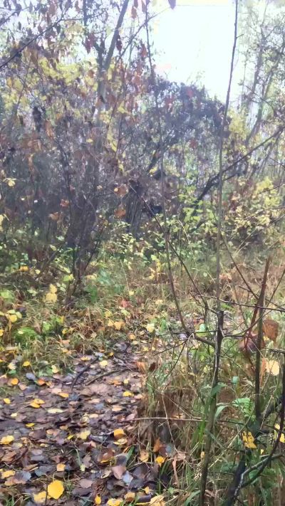 CAM4 male cam Joueurh