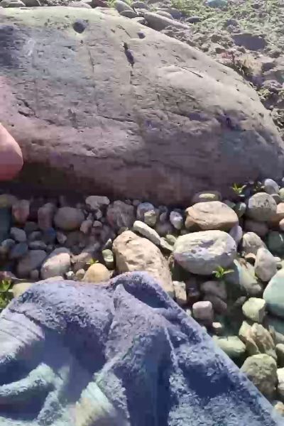 Thumbnail of apem22 - CAM4 live cam
