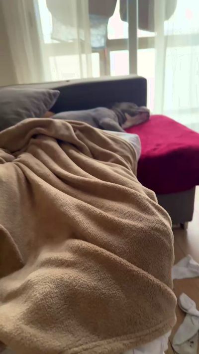 CAM4 female cam Anastasiiaaaa