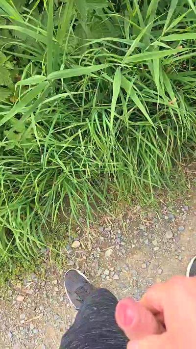 CAM4 male cam jens261170