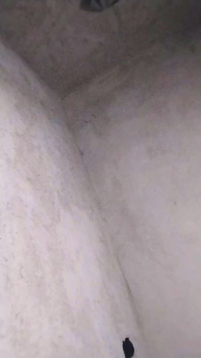 Thumbnail of Dori0008 - CAM4 live cam