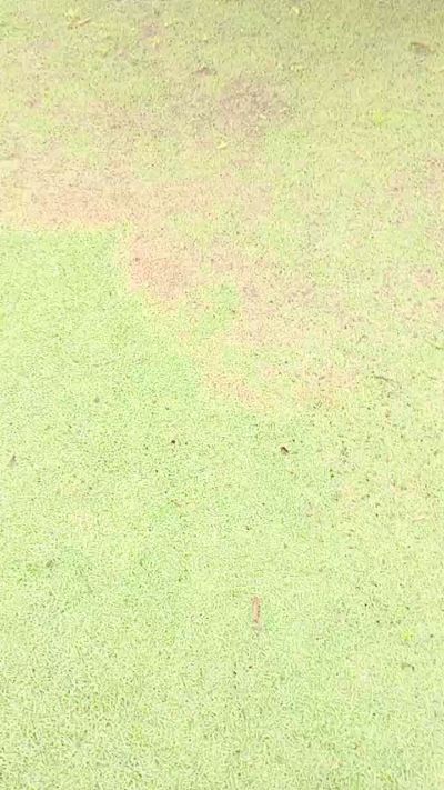 CAM4 male cam Safadope02