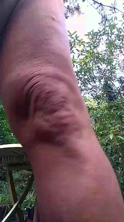 Thumbnail of eibo20 - CAM4 live cam