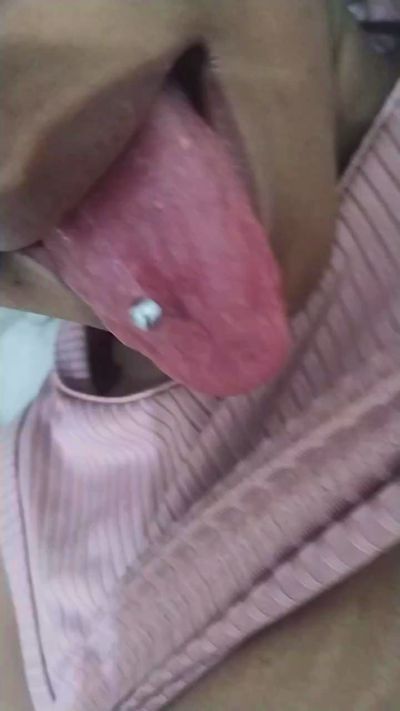 CAM4 female cam Gatagostosa231