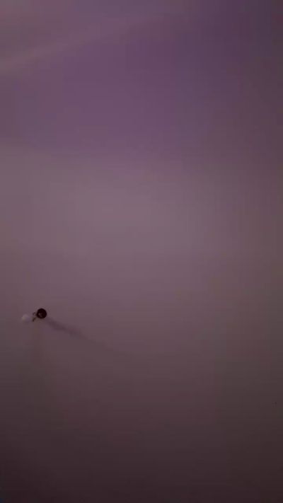 CAM4 female cam Prudence07