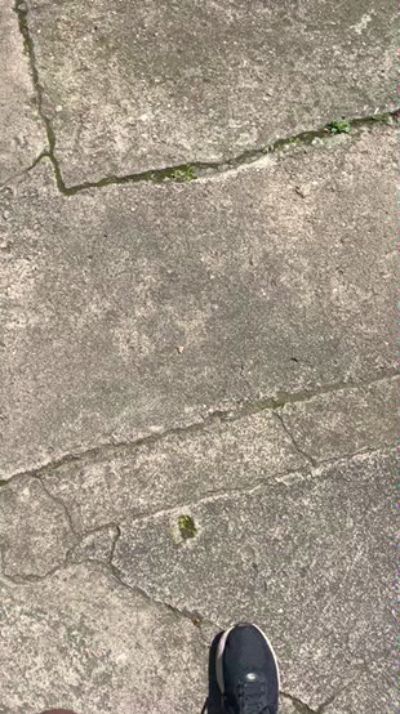 CAM4 male cam bigballslatino1