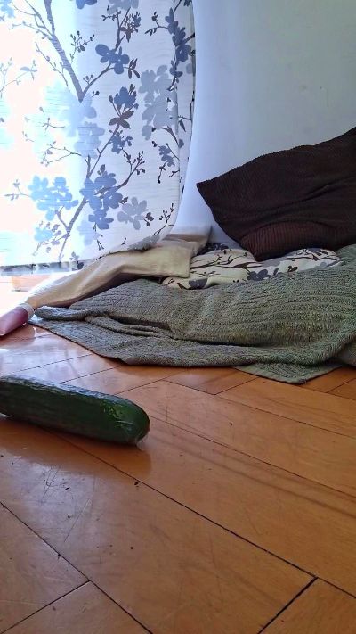 CAM4 male cam Wujoanal