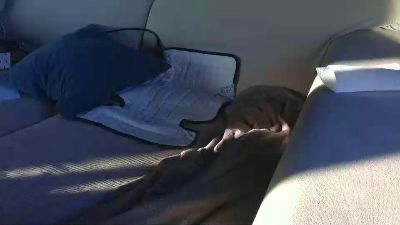 Thumbnail of Alvfer - CAM4 live cam