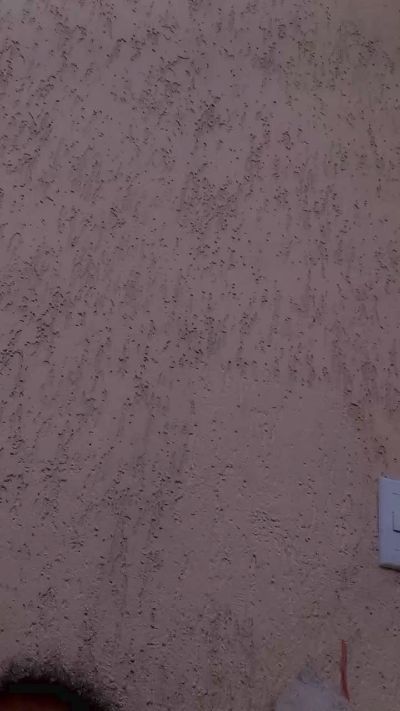 CAM4 female cam Zuluepreta1