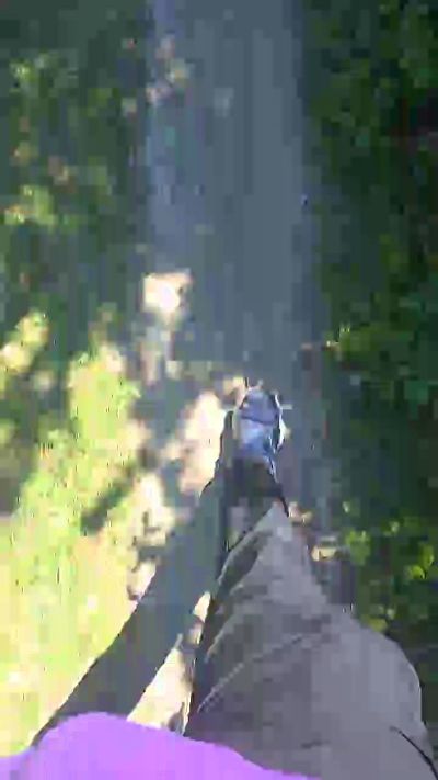 Thumbnail of Hairlessoldman - CAM4 live cam