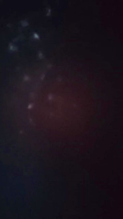 Thumbnail of rex246 - CAM4 live cam
