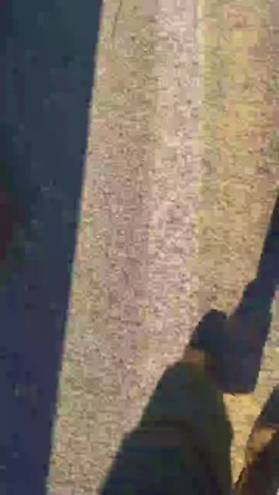 Thumbnail of bibi250 - CAM4 live cam