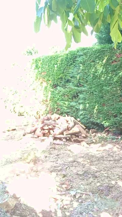 CAM4 male cam teddy2008