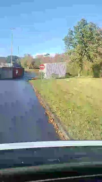 Thumbnail of Fredbreizh - CAM4 live cam
