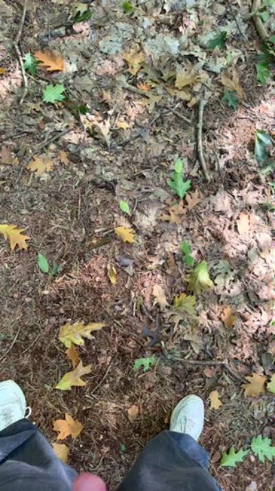 CAM4 male cam bjornborg