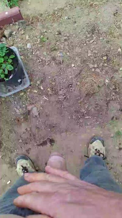 CAM4 male cam Plair4421