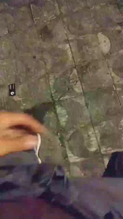 CAM4 male cam Putaodominador