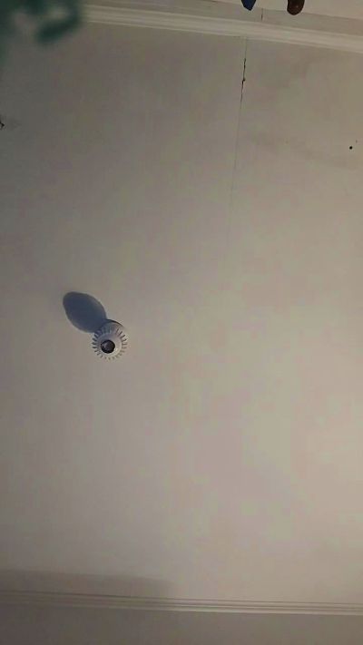 CAM4 male cam Mateomartincl