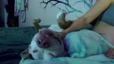 CAM4 female cam 1800fuckyu
