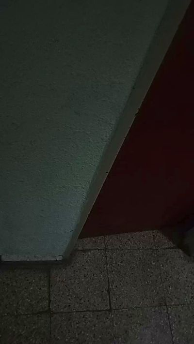 CAM4 female cam FrancesFarmer89