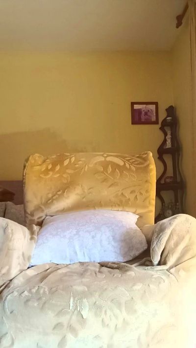 CAM4 male cam gato_travieso