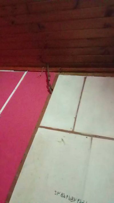 CAM4 male cam Vivoelmomentomn