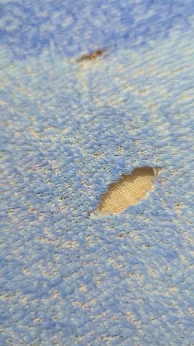 CAM4 male cam xevus00