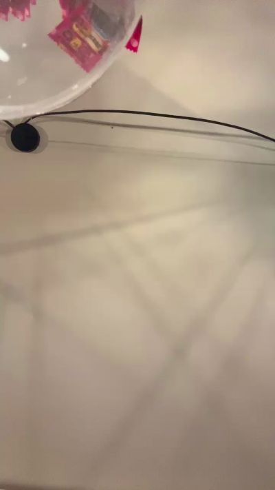 CAM4 male cam pallido225