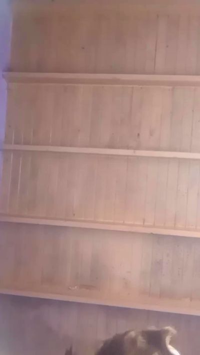 CAM4 female cam lapareja2025