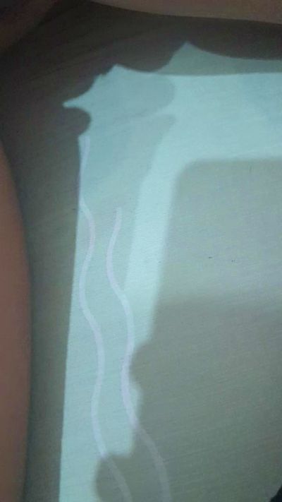 CAM4 female cam Laurix18