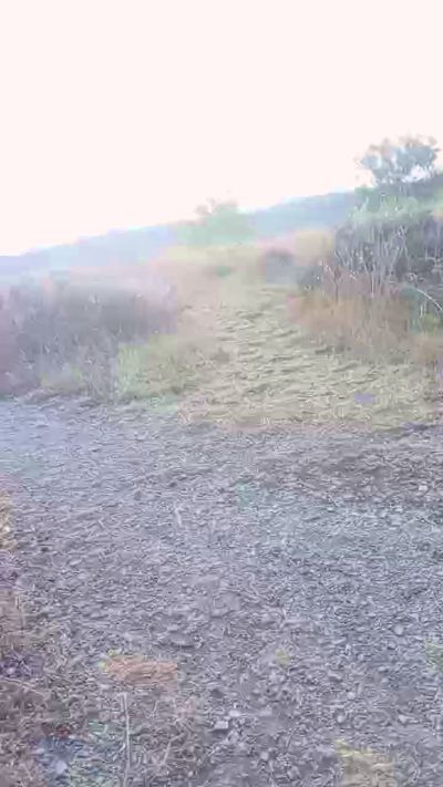 CAM4 male cam jonpardo4