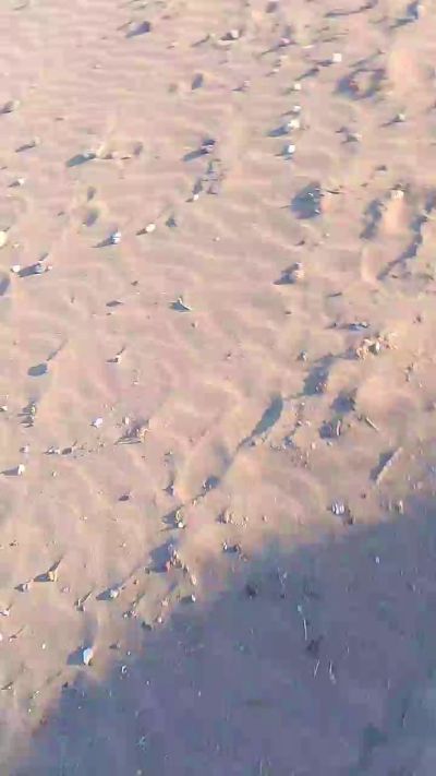 Thumbnail of seby1982 - CAM4 live cam