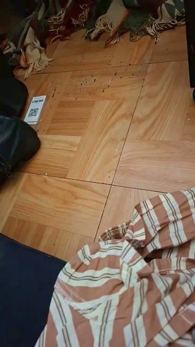 CAM4 female cam morimiku