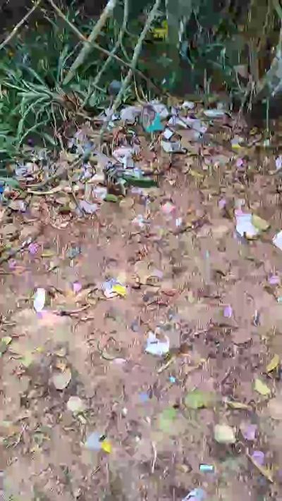 CAM4 male cam NegoPromiscuoRJ