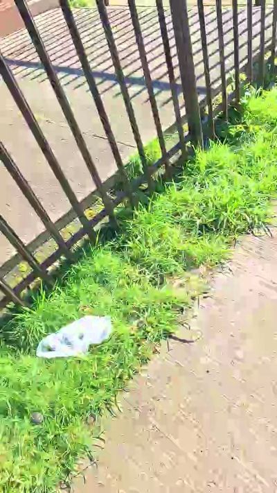 CAM4 male cam cristianjavier3