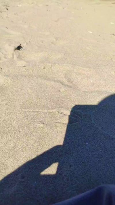 CAM4 male cam Lone76