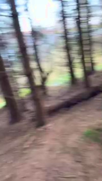 CAM4 male cam mick4267