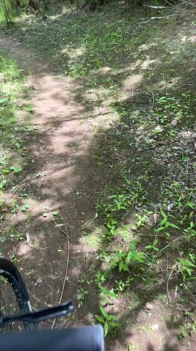 CAM4 male cam Laoquedad