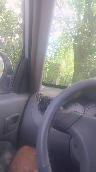 CAM4 male cam jacintos2