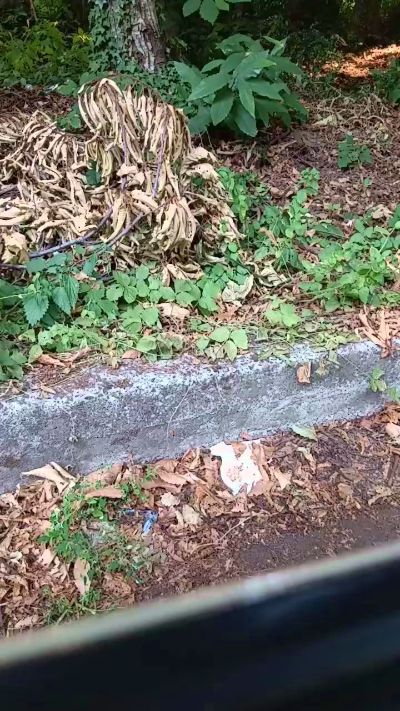 CAM4 male cam Roccoduro29